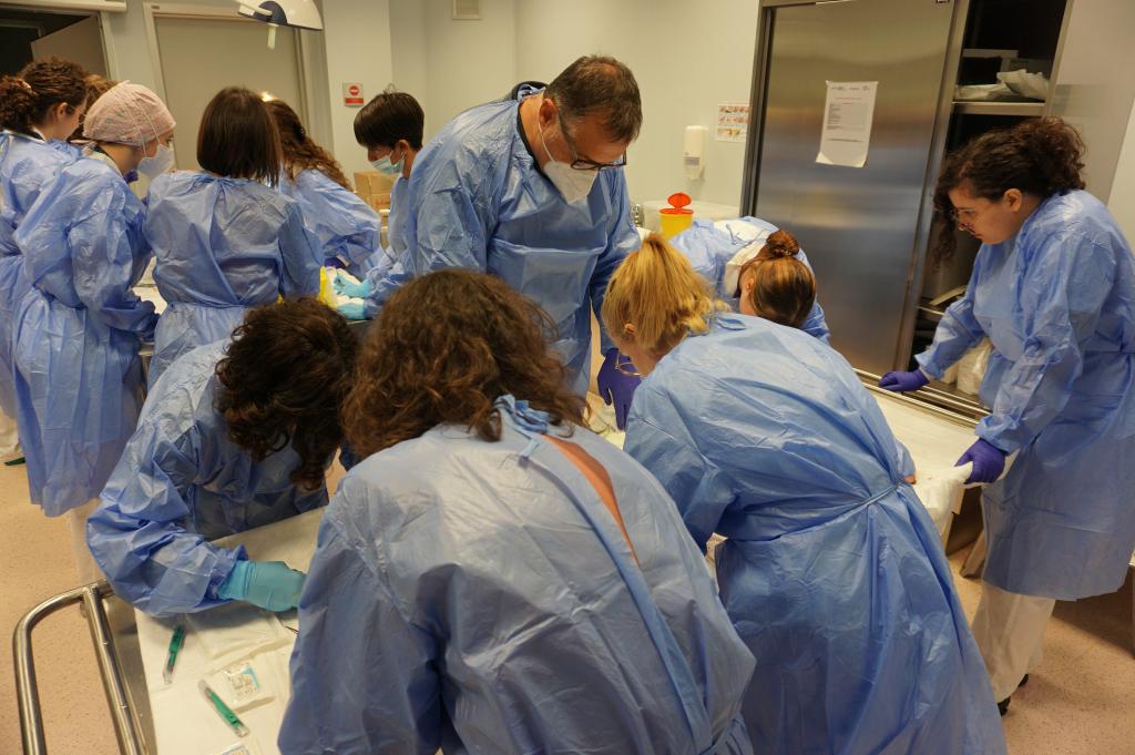 Corsi suture cadaveri