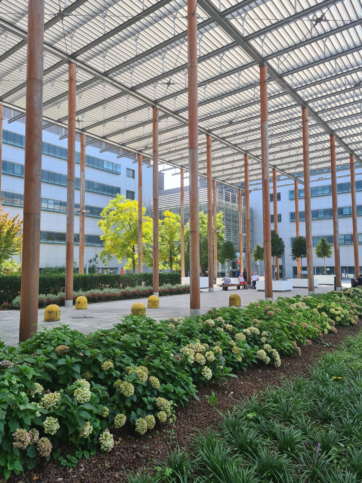 Restyling di piazza OMS